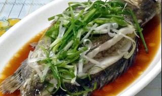 清蒸桂鱼的做法,怎么做清蒸桂鱼才好吃 清蒸桂鱼怎么做